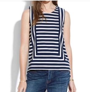 Madewell Blue And White Stripe Frameset Ponte Stripe Tank Top